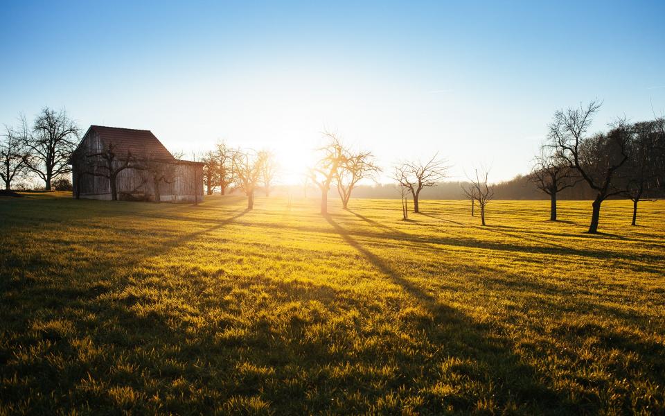 Morning sun rising over a grassy field with trees and a barn